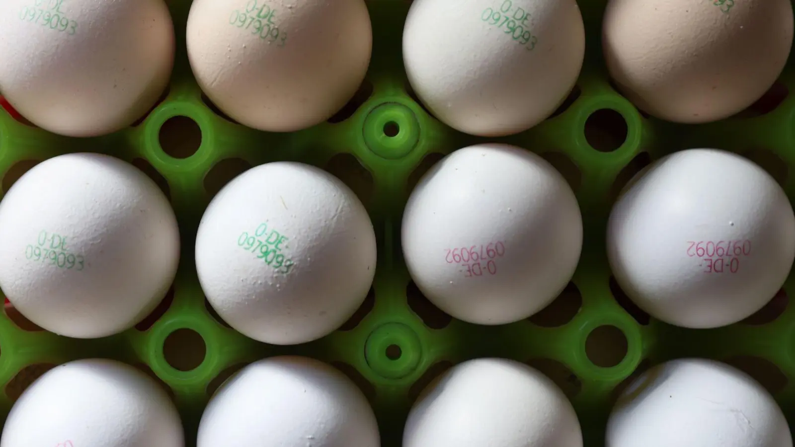 Eier könnten durch die Vogelgrippe teurer werden. (Symbolbild) (Foto: Karl-Josef Hildenbrand/dpa)