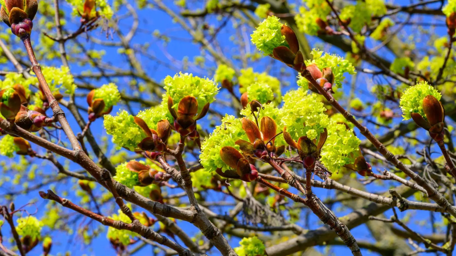 Der DWD erwartet viel Sonnenschein am Wochenende für Bayern. (Symbolbild) (Foto: Patrick Pleul/dpa)