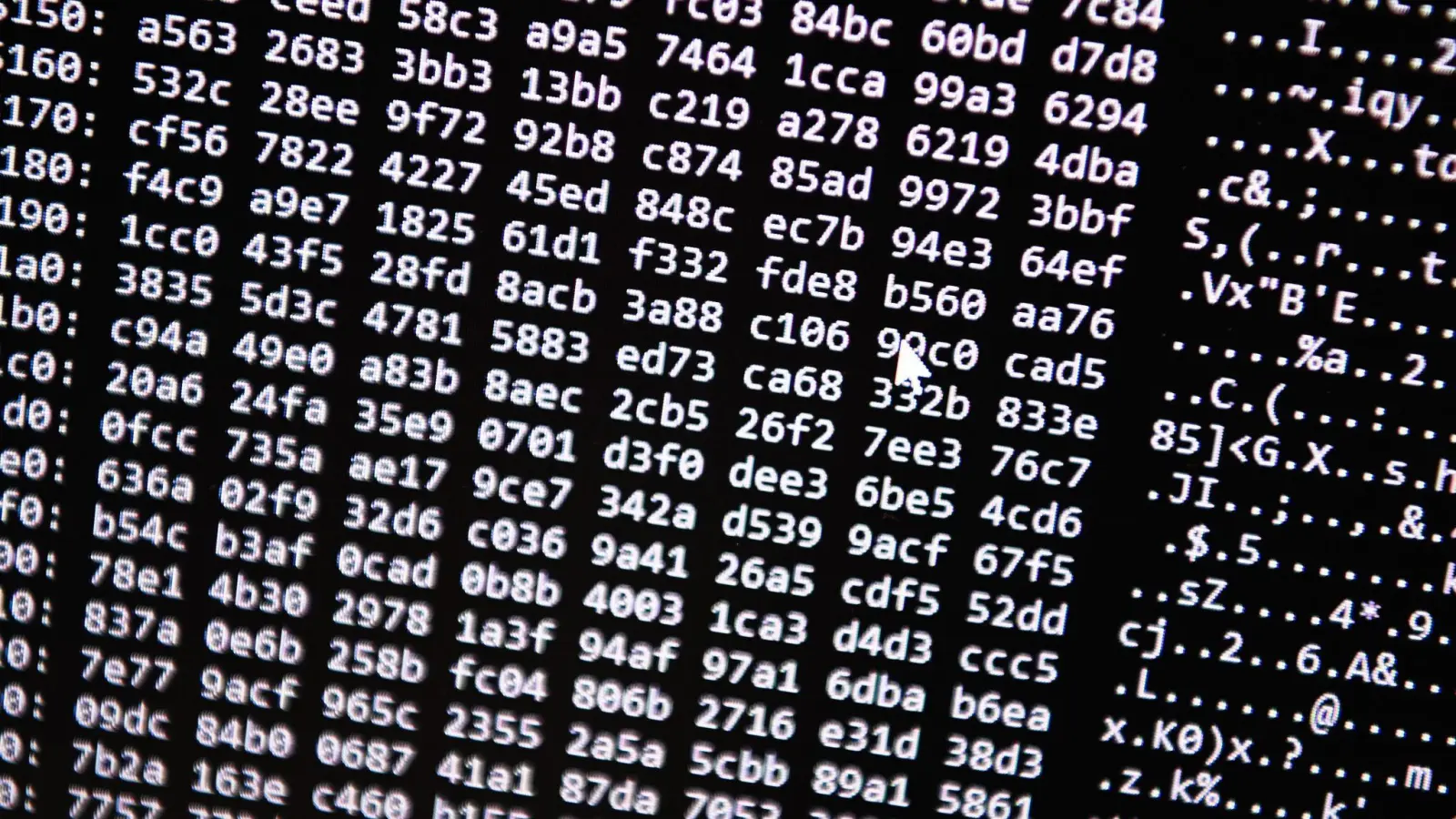 Ein Zahlencode läuft in der Zentralstelle Cybercrime Bayern (ZCB) über einen Bildschirm. (Foto: Nicolas Armer/dpa)