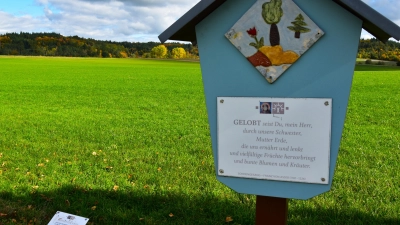 In vielen Arbeitsstunden haben ehrenamtliche Helfer die neun Stationen samt Umfeld des Teilstücks „Sonnengesang des Heiligen Franz von Assisi“ des Auracher Besinnungswegs – im Bild die Station „Schwester Mutter Erde“ – saniert.<br> (Foto: Werner Wenk)