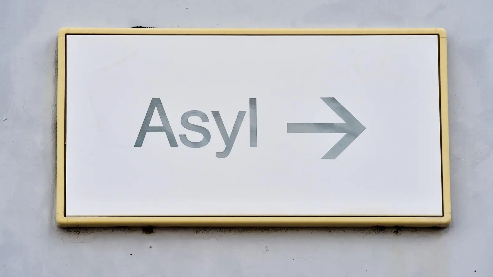Ein Schild mit der Aufschrift „Asyl“ hängt an einer Wand. (Foto: Uli Deck/dpa/Symbolbild)