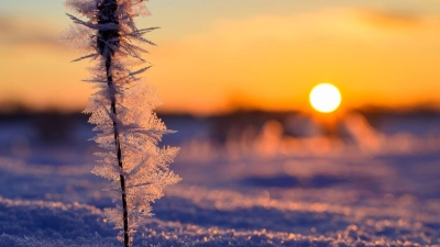 Die Sonne hat deutlich mehr Stunden eingesammelt als im Vergleichszeitraum. (Archivbild) (Foto: Patrick Pleul/dpa)