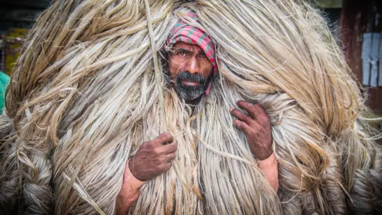 Haarige Angelegenheit: Arbeiter in Bangladesch tragen riesige Jutebündel auf dem Kopf. Bis zu 50 Kilogramm schwere Bündel schleppen die Männer zum größten Jutemarkt in Manikganj. (Foto: Mustasinur Rahman Alvi/ZUMA/dpa)