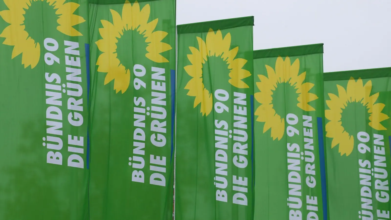 Fahnen der Partei Bündnis 90 Die Grünen sind vor der Inselhalle aufgezogen. (Foto: Karl-Josef Hildenbrand/dpa)