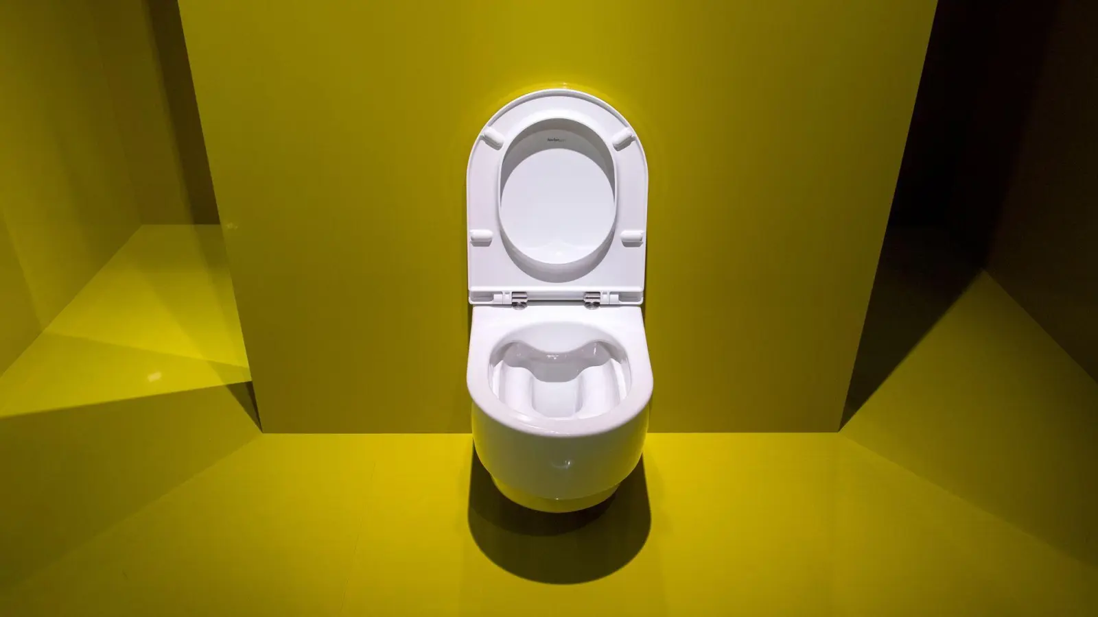 Trödelt der Vermieter mit der Reparatur einer defekten Toilette, können Mieter die Instandsetzung in Eigenregie veranlassen. (Foto: Andrea Warnecke/dpa-tmn)