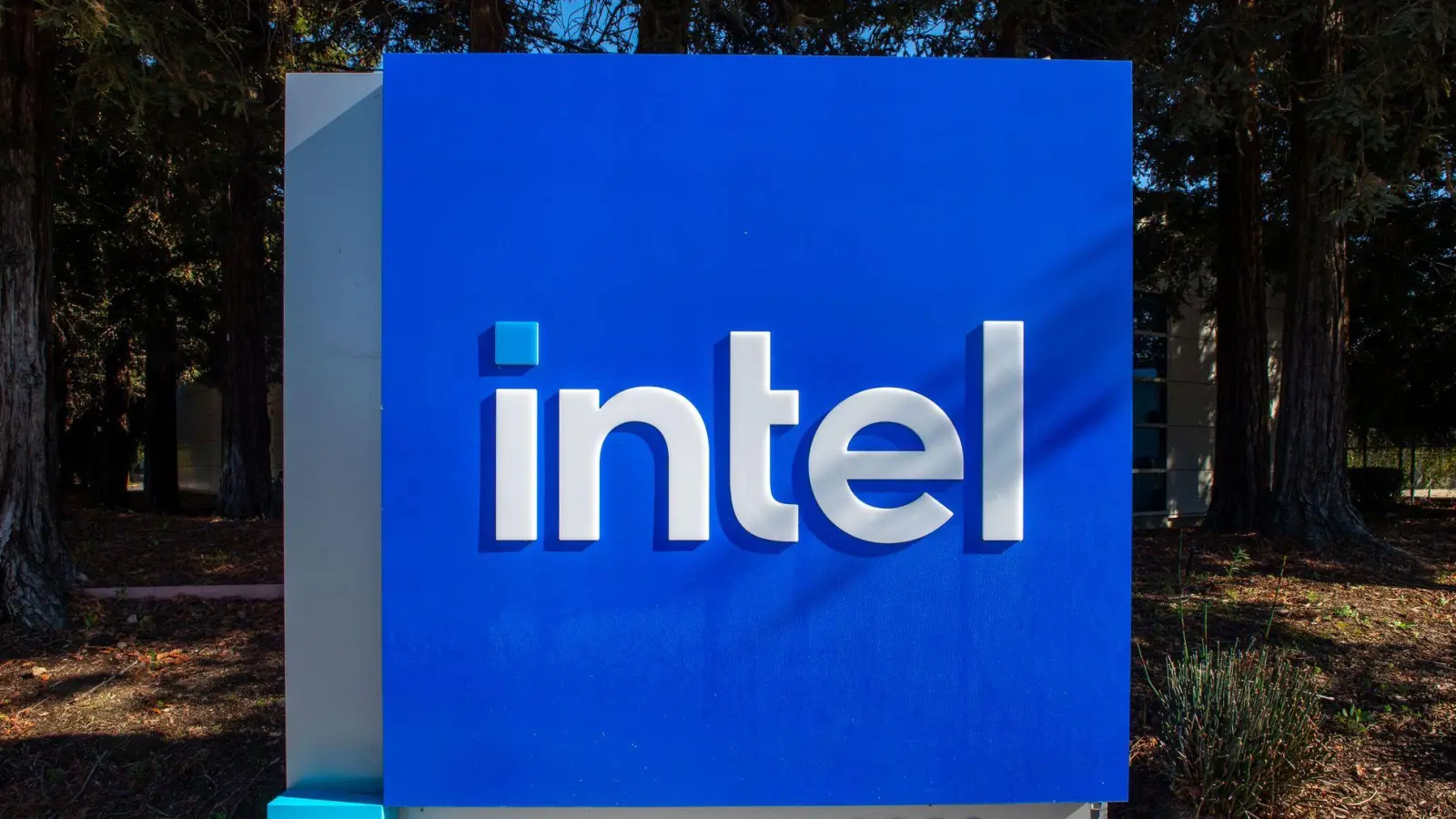 Der Bau der Fabrik in Magdeburg ist abgesagt. (Archivbild) (Foto: Andrej Sokolow/dpa)