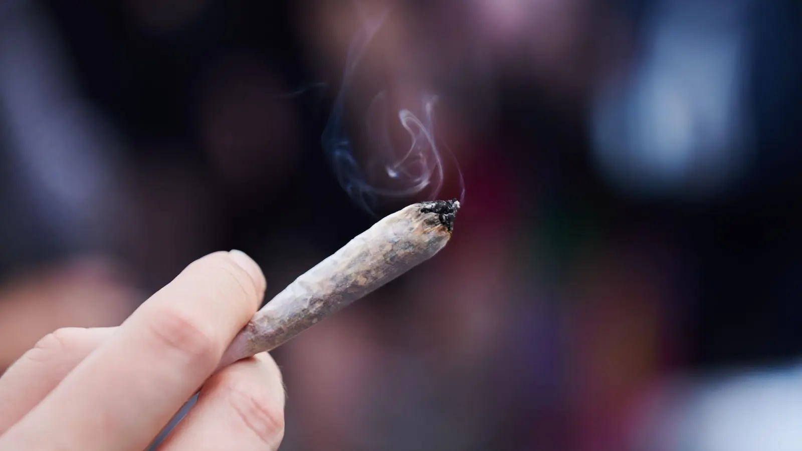 Die Ampel-Regierung hat einen Gesetzentwurf für eine teilweise Cannabis-Legalisierung auf den Weg gebracht. (Foto: Annette Riedl/dpa)
