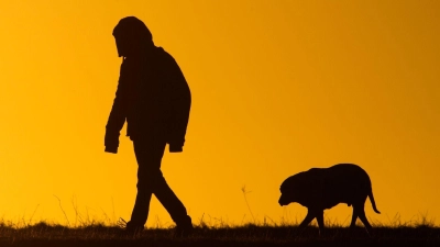 Viele Hundebesitzer bekommen es nicht mit, wenn ihre Tiere leiden. (Symbolbild) (Foto: Julian Stratenschulte/dpa)