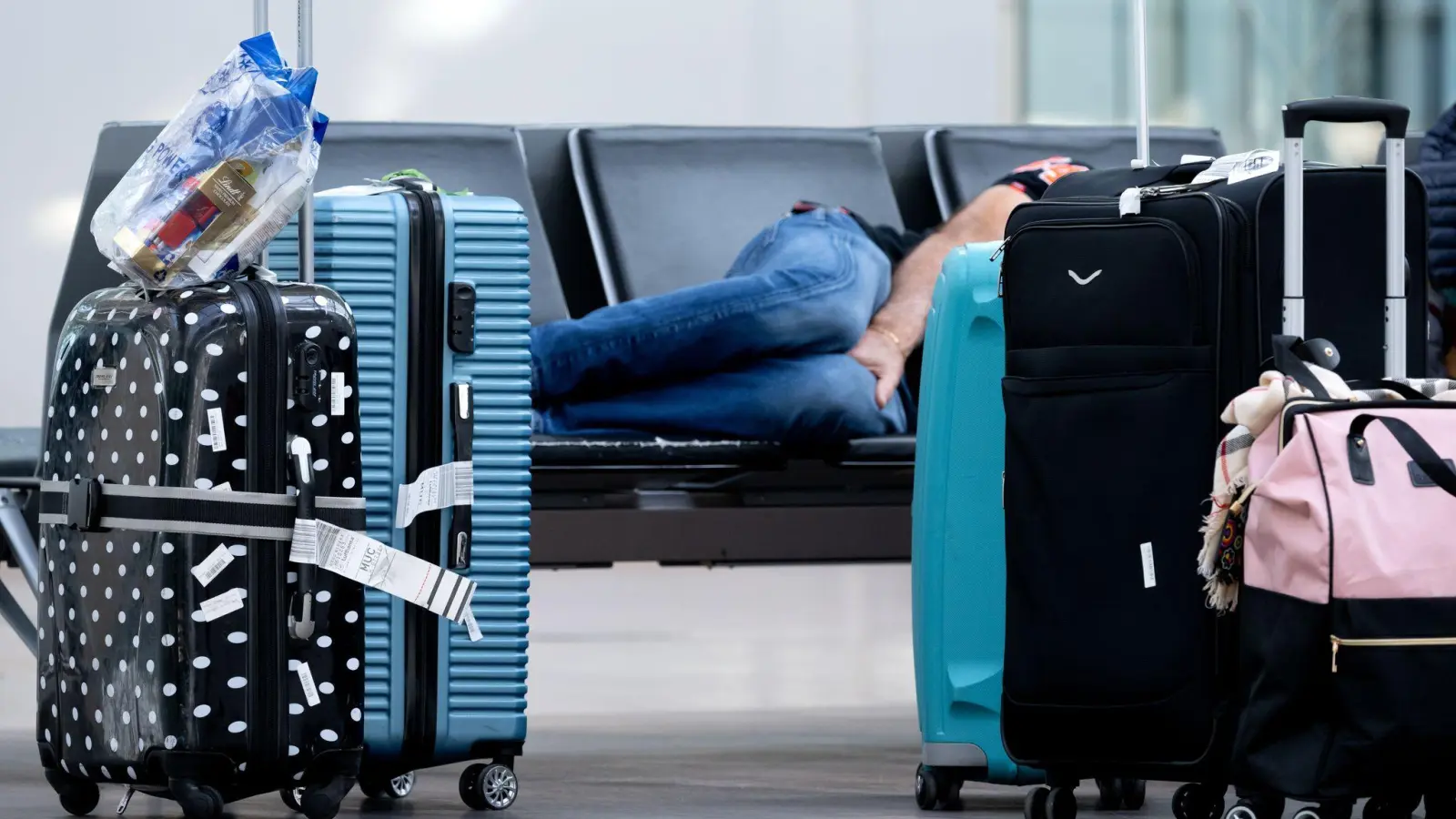 Urlaubsgepäck am Münchner Flughafen. Steigende Passagierzahlen im ersten Quartal deuten darauf, dass viele Urlauber wieder weiter entfernte Ziele ansteuern. (Symbolbild)  (Foto: Sven Hoppe/dpa)