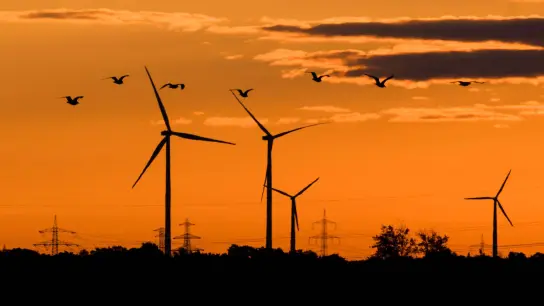 Vögel fliegen bei Sonnenaufgang vor Windkraftanlagen in der Region Hannover. (Foto: Julian Stratenschulte/dpa)