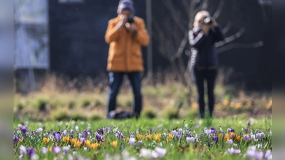 Der Frühling hält Einzug in Deutschland. (Foto: Oliver Berg/dpa)