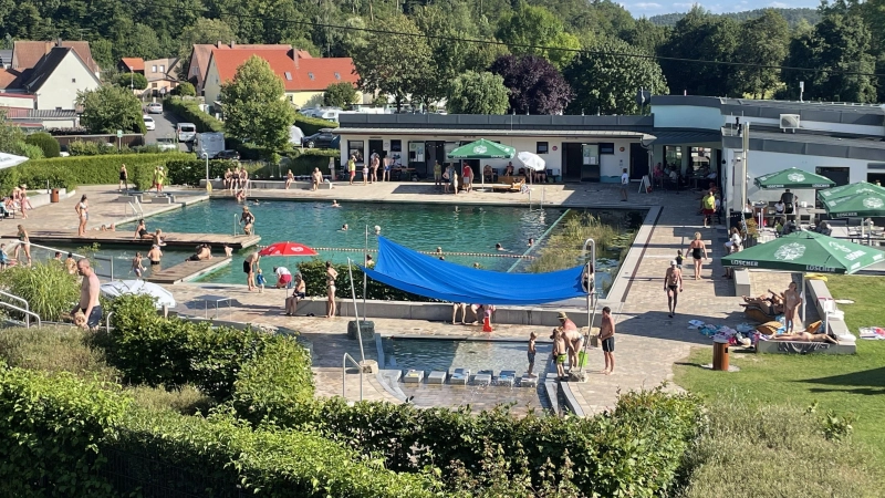 Das Freibad Münchsteinach gibt es als Naturbad erst seit wenigen Jahren. (Foto: Julia Zink)