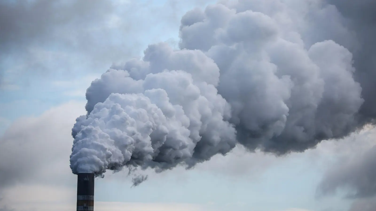 Die Klimaschutzinvestitionen deutscher Unternehmen stagnieren. (Symbolbild) (Foto: Jan Woitas/dpa)