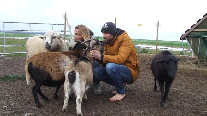 Interaktion mit den Tieren wird auf dem Lebenshof „Vegan.Bullerbyn“, den Anna und Danny Ritzinger gegründet haben, großgeschrieben. (Foto: Jasmin Kiendl)